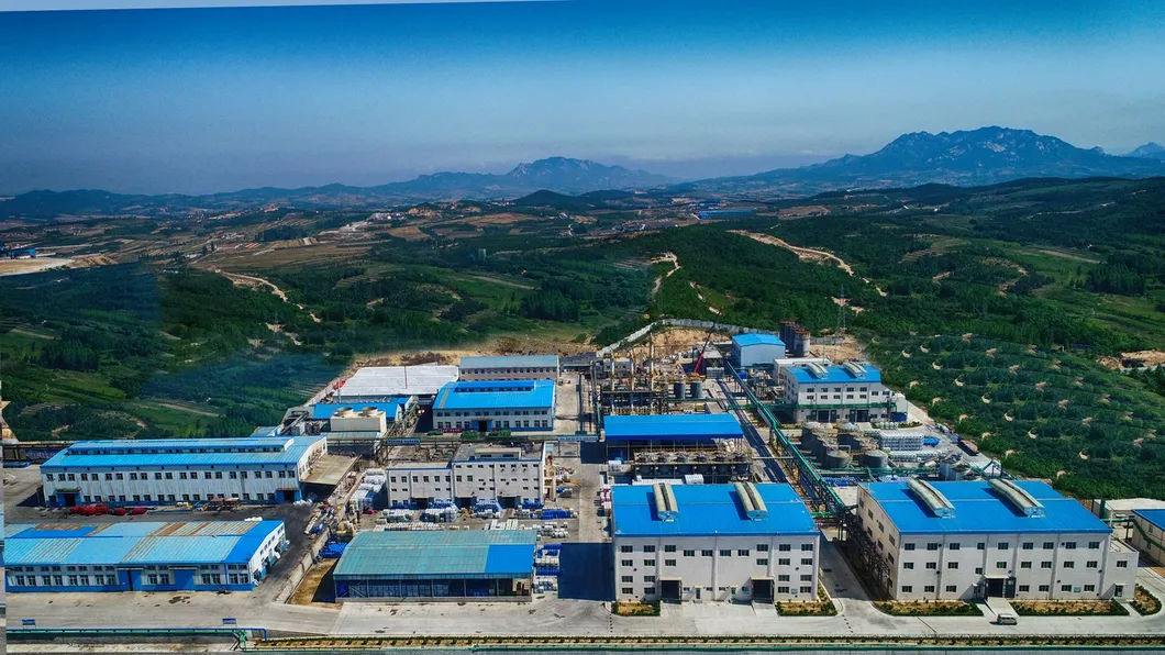 Depressant for Copper Mines D461 in Flotation Process Of Copper-Molybdenum Ores